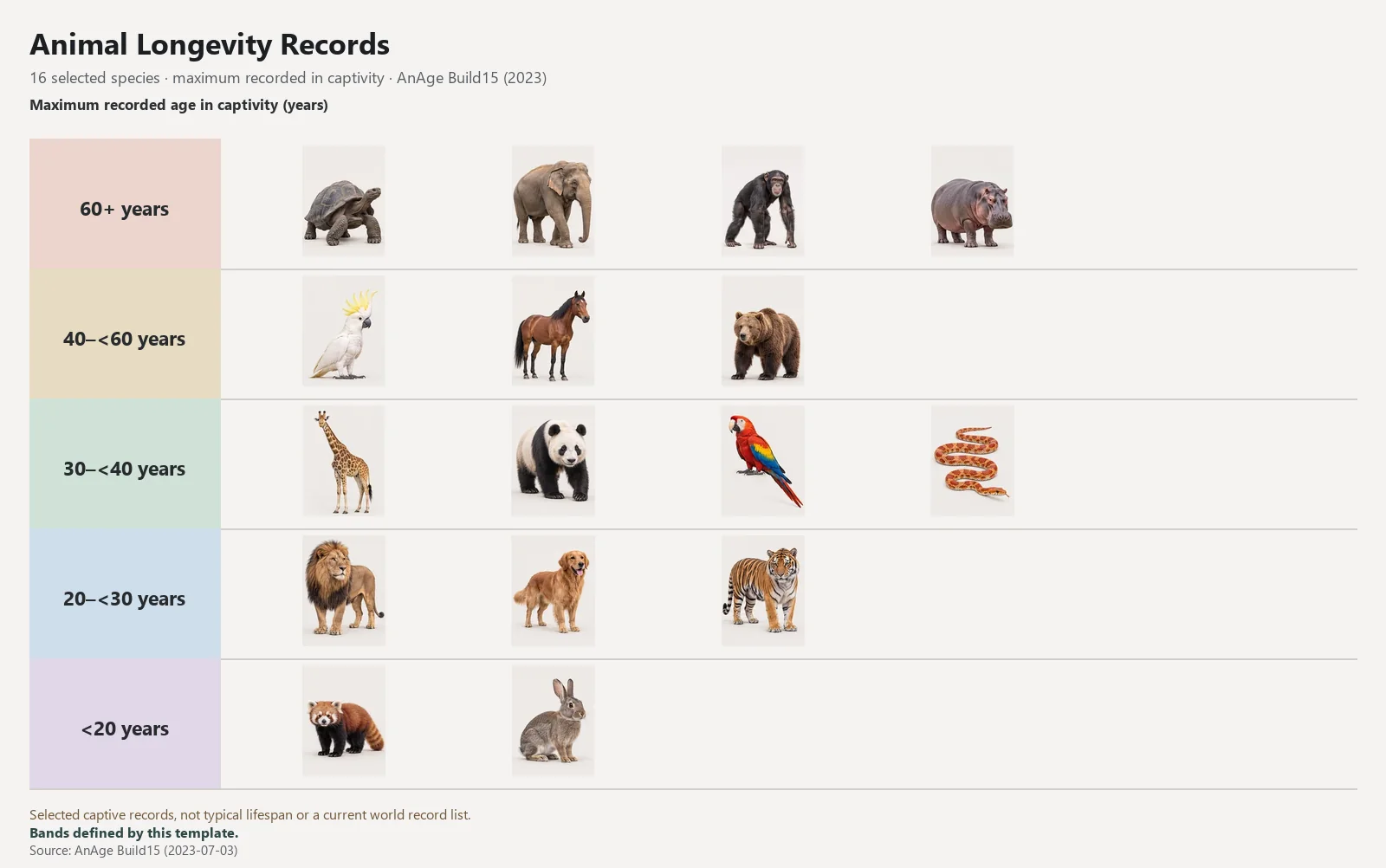 Animal Longevity Records